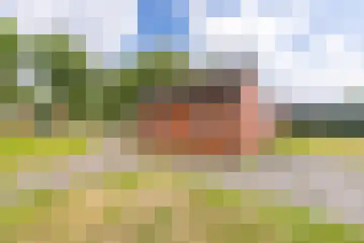 Barnflair West 56 Ter Apel thumbnail 32