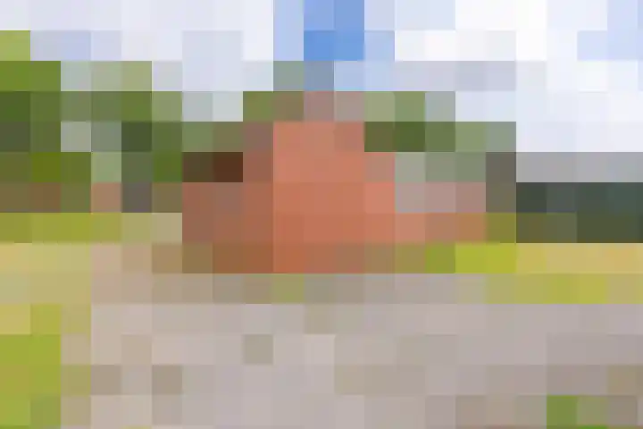 Barnflair West 56 Ter Apel thumbnail 33