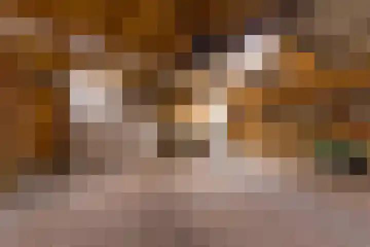Barnflair West 56 Ter Apel thumbnail 37