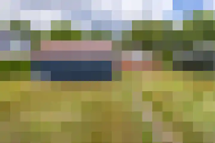 Barnflair West 56 Ter Apel thumbnail 38