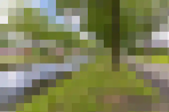 Barnflair West 56 Ter Apel thumbnail 7