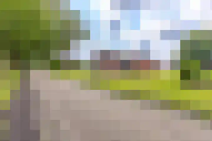 Barnflair West 56 Ter Apel thumbnail 8