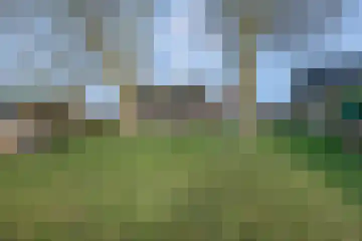 Barnseweg 132 Barneveld thumbnail 31