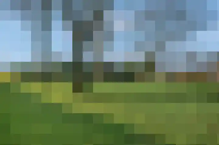 Barnseweg 132 Barneveld thumbnail 32