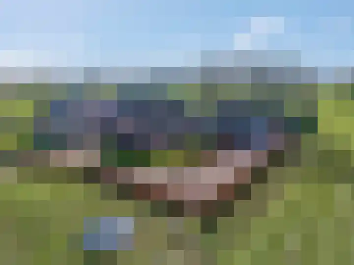 Barnseweg 132 Barneveld thumbnail 7