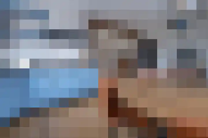 Barnseweg 21 Barneveld thumbnail 10