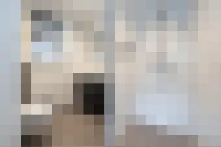 Barnseweg 21 Barneveld thumbnail 16