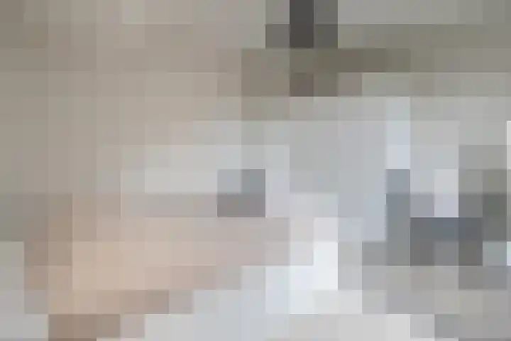 Barnseweg 21 Barneveld thumbnail 37