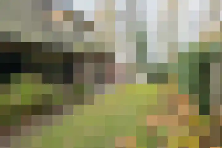 Barnseweg 21 Barneveld thumbnail 49
