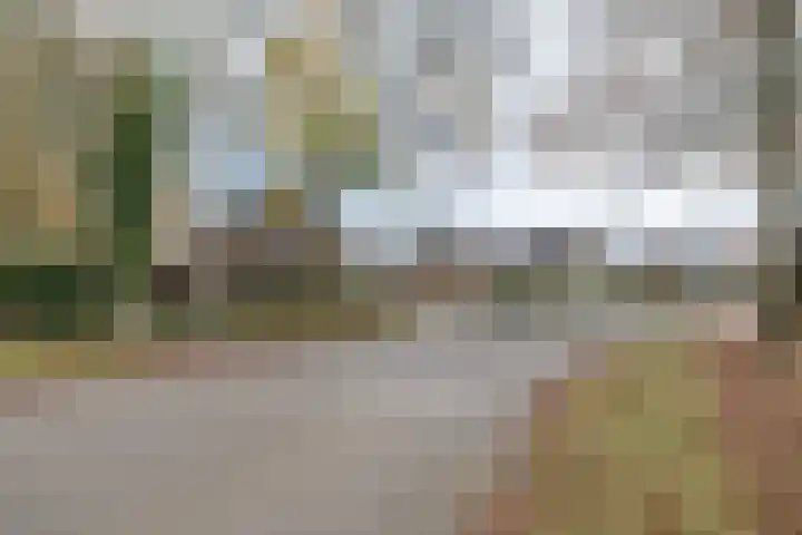 Barnseweg 21 Barneveld thumbnail 55
