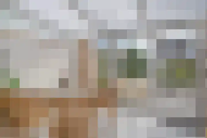 Barnseweg 30 Barneveld thumbnail 16