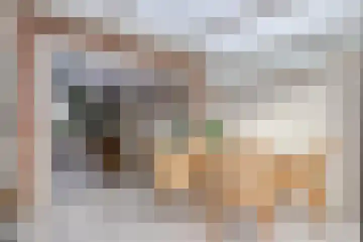 Barnseweg 30 Barneveld thumbnail 17