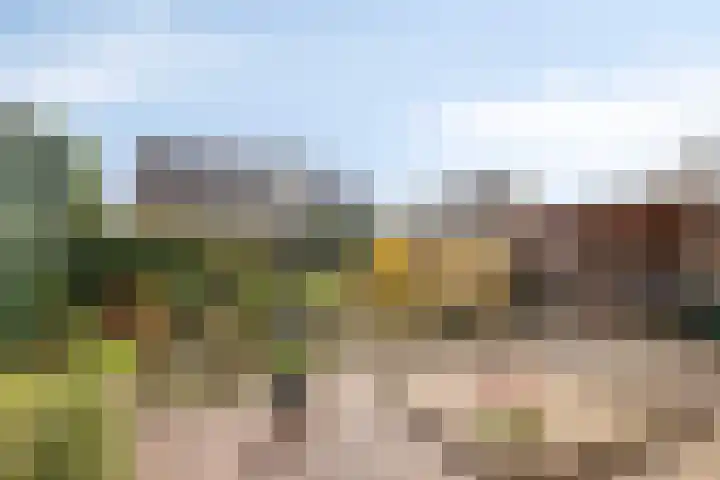 Barnseweg 30 Barneveld thumbnail 30