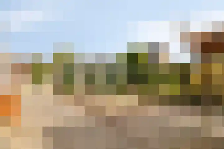 Barnseweg 30 Barneveld thumbnail 31