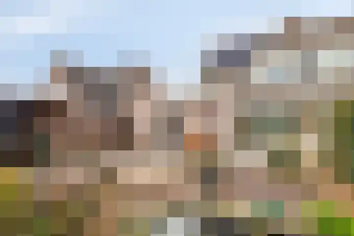 Barnseweg 30 Barneveld thumbnail 32