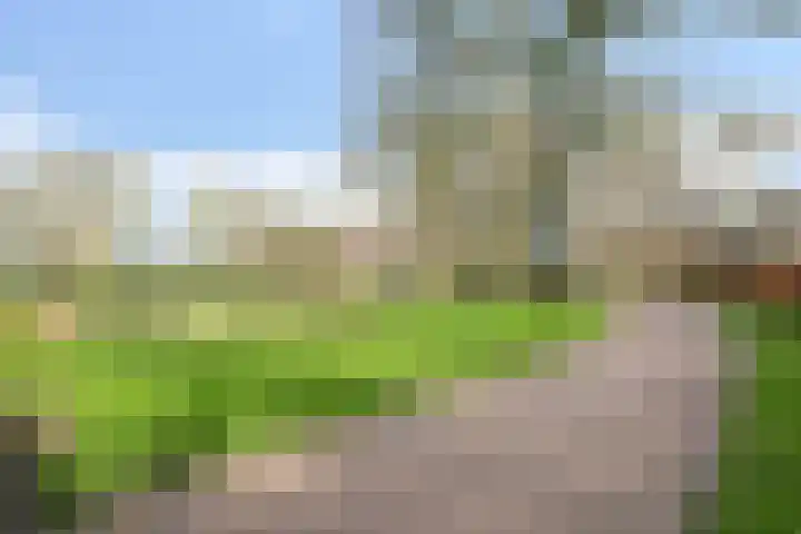 Barnseweg 30 Barneveld thumbnail 37