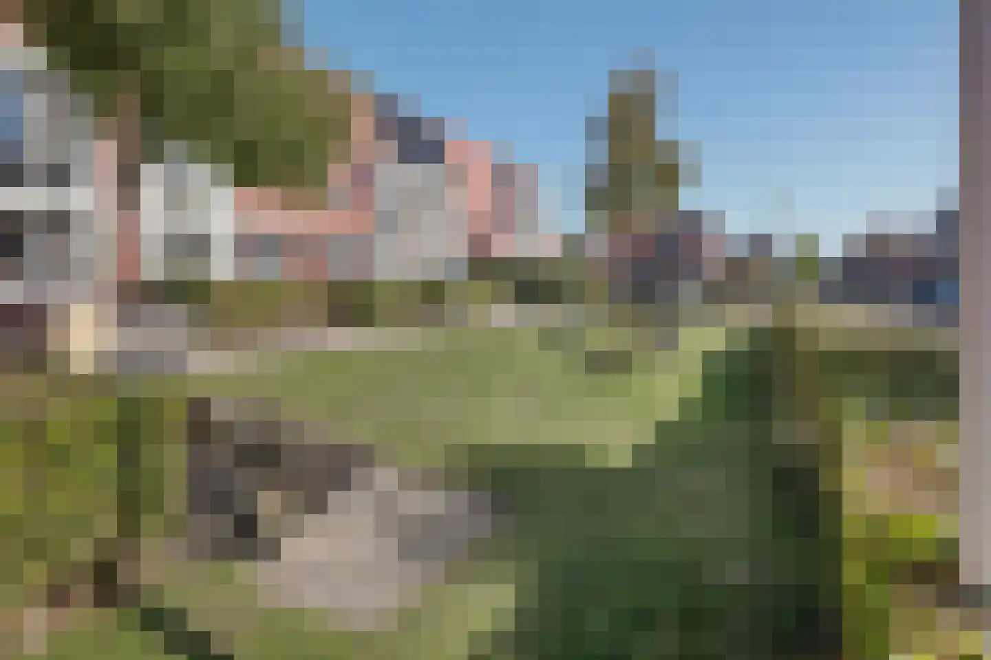 Barnsteen 1 Hoogwoud thumbnail 54