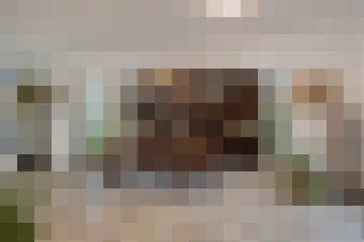 Barnsteen 10 Eindhoven thumbnail 13