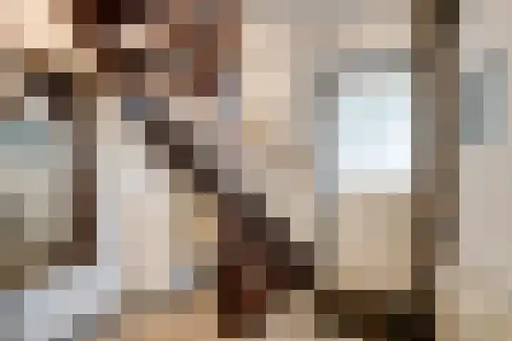 Barnsteen 10 Eindhoven thumbnail 6