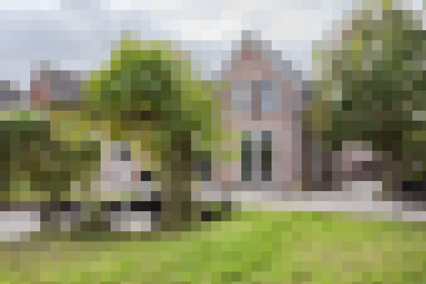 Barnsteen 28 Hoogwoud thumbnail 39