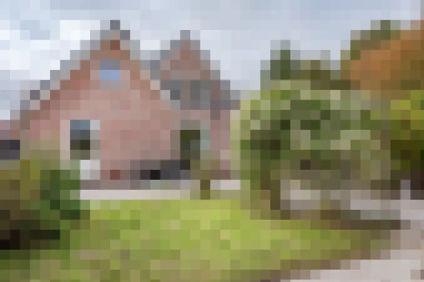 Barnsteen 28 Hoogwoud thumbnail 40