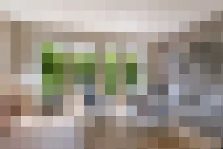 Barnsteen 43 Hoogwoud thumbnail 11