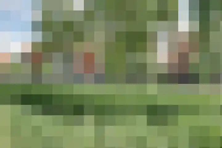 Barnsteen 43 Hoogwoud thumbnail 39