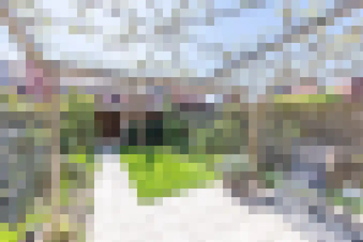 Barnsteen 47 Hoogwoud thumbnail 33
