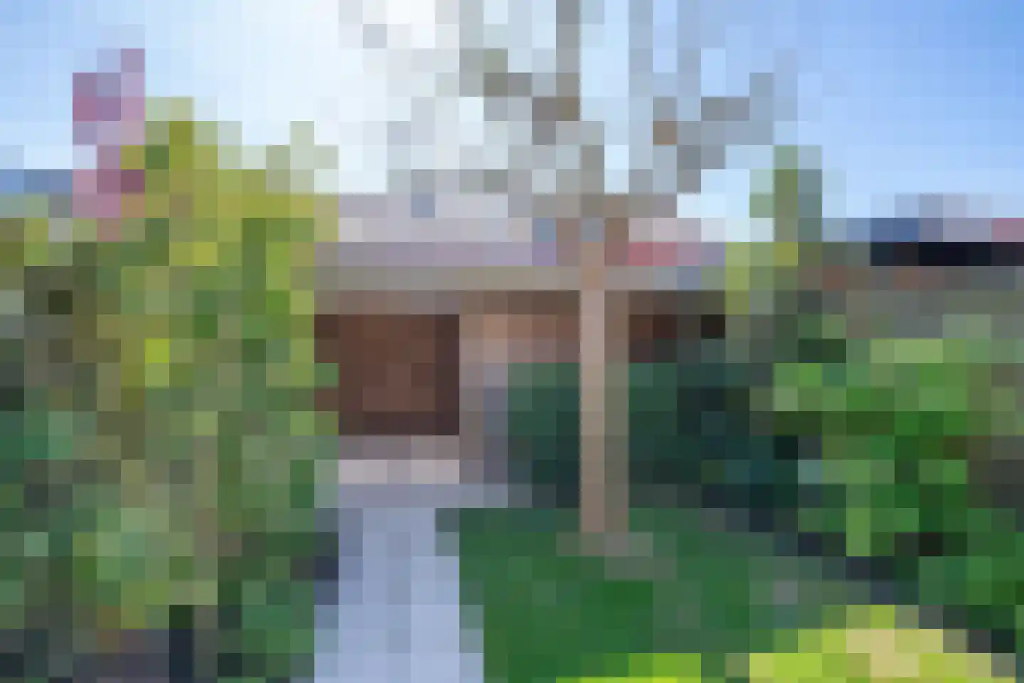 Barnsteen 47 Hoogwoud thumbnail 34