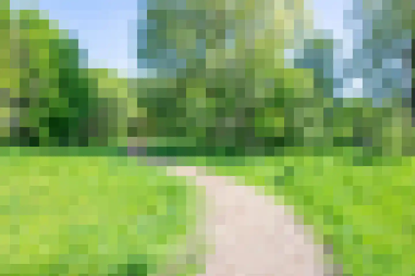 Barnsteen 47 Hoogwoud thumbnail 45