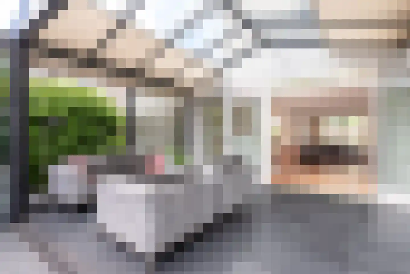 Barnsteen 8 Eindhoven thumbnail 50