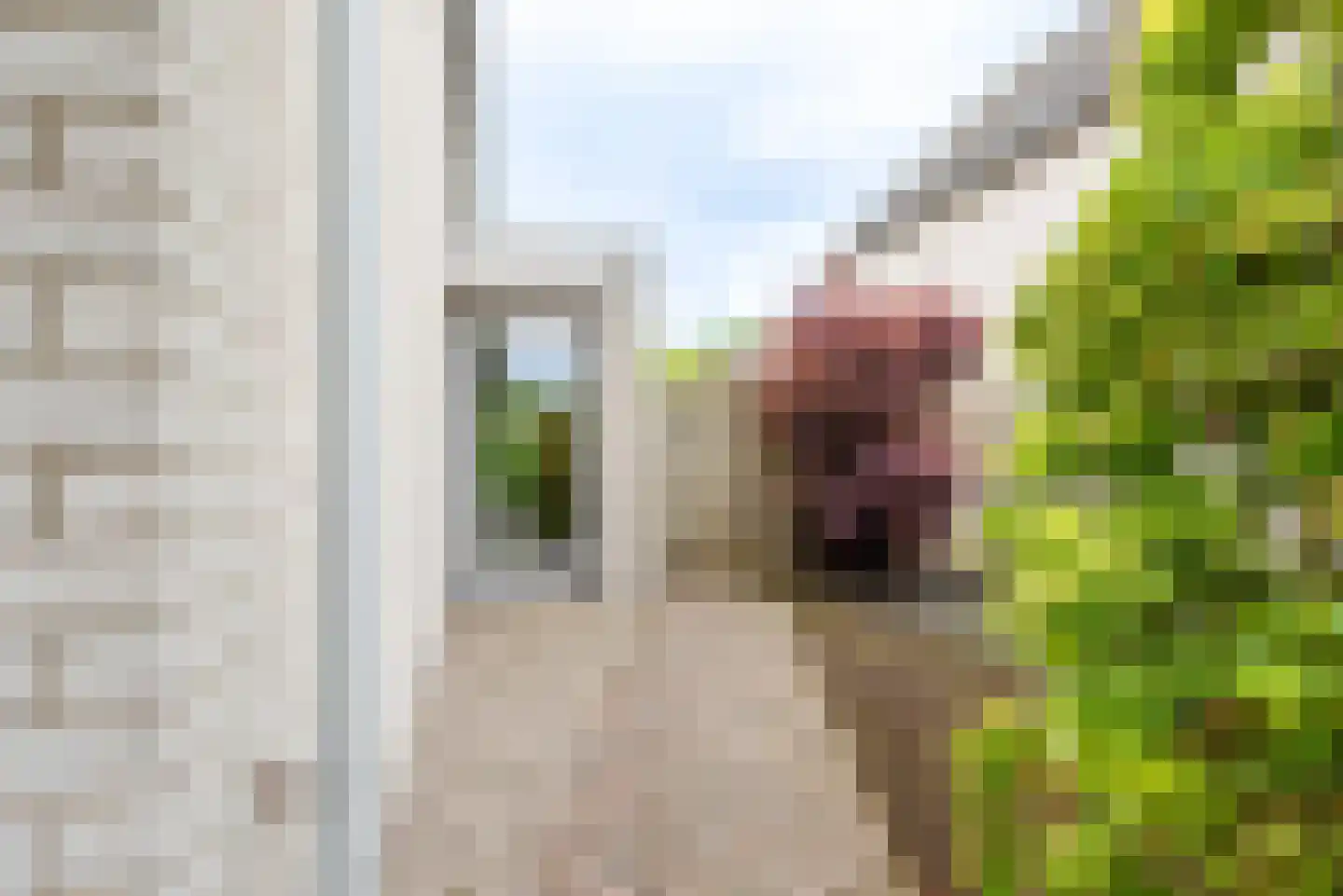 Barnsteen 8 Eindhoven thumbnail 62