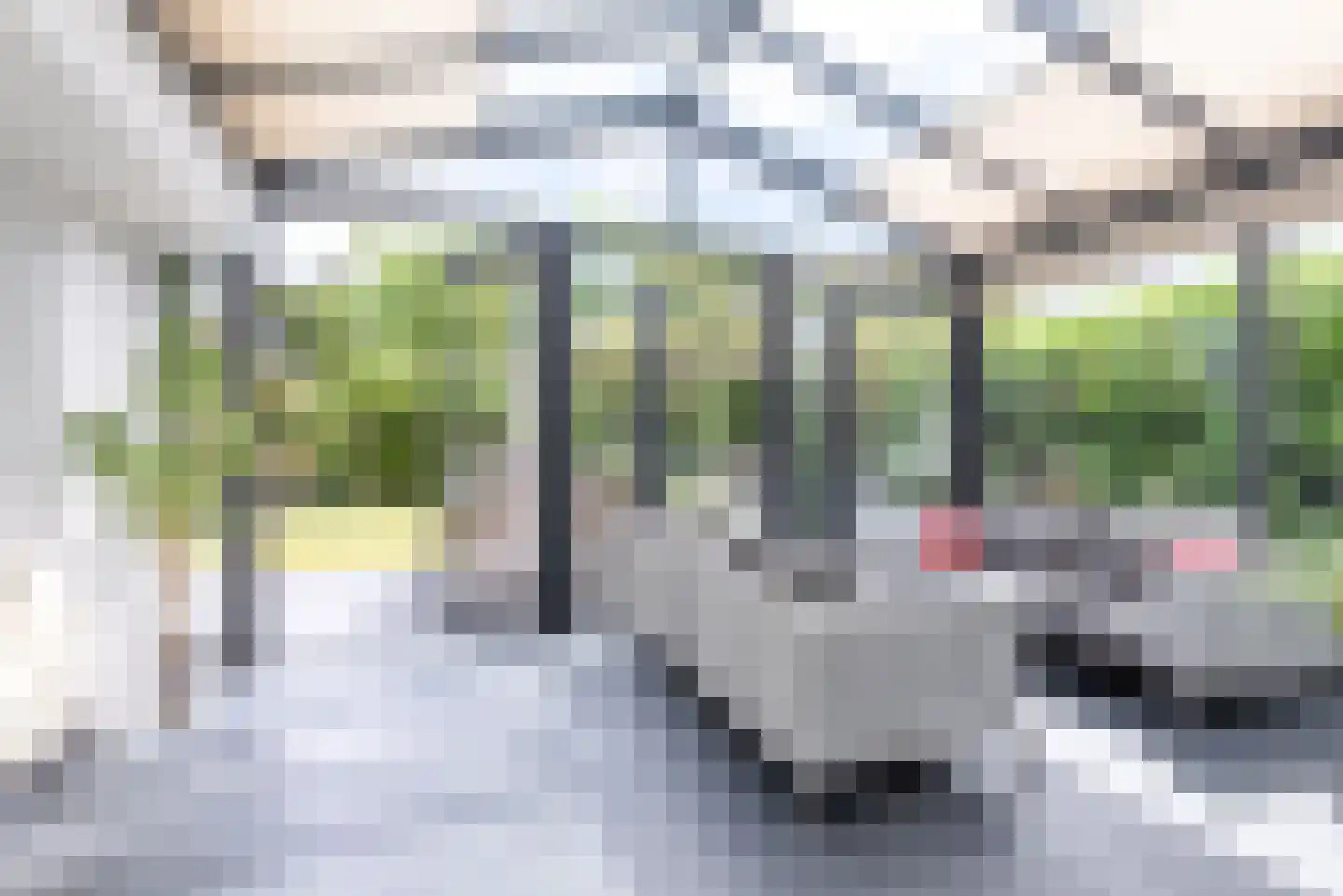 Barnsteen 8 Eindhoven thumbnail 8