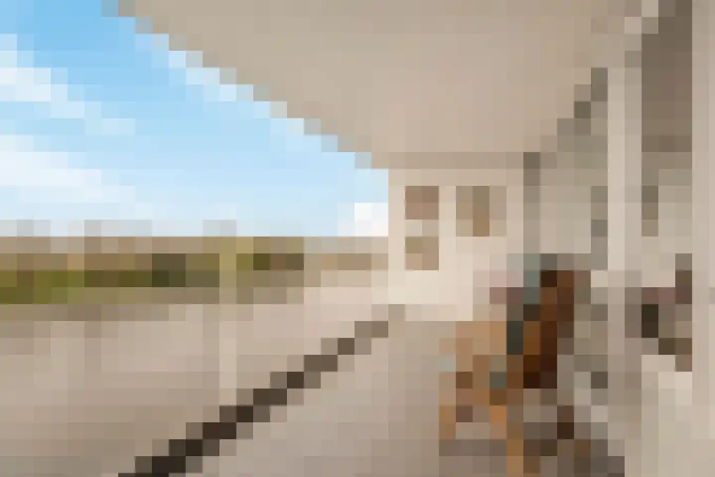 Barnsteenhof 100 Rhoon thumbnail 21