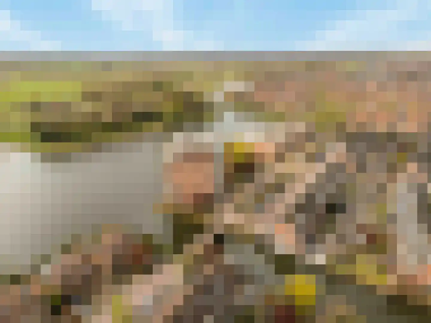 Barnsteenhof 100 Rhoon thumbnail 37