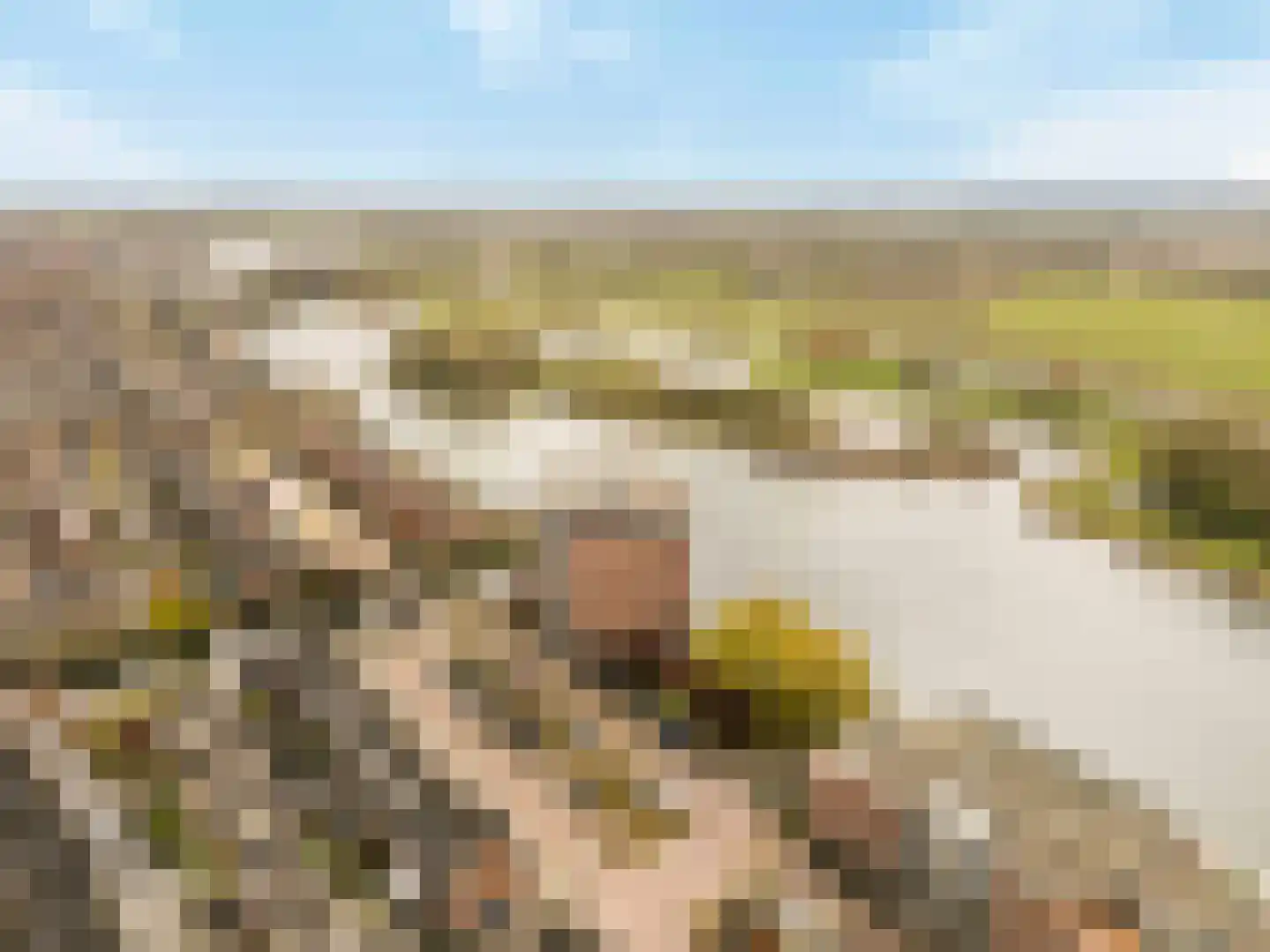 Barnsteenhof 100 Rhoon thumbnail 44