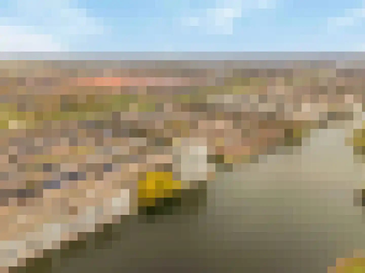 Barnsteenhof 100 Rhoon thumbnail 45