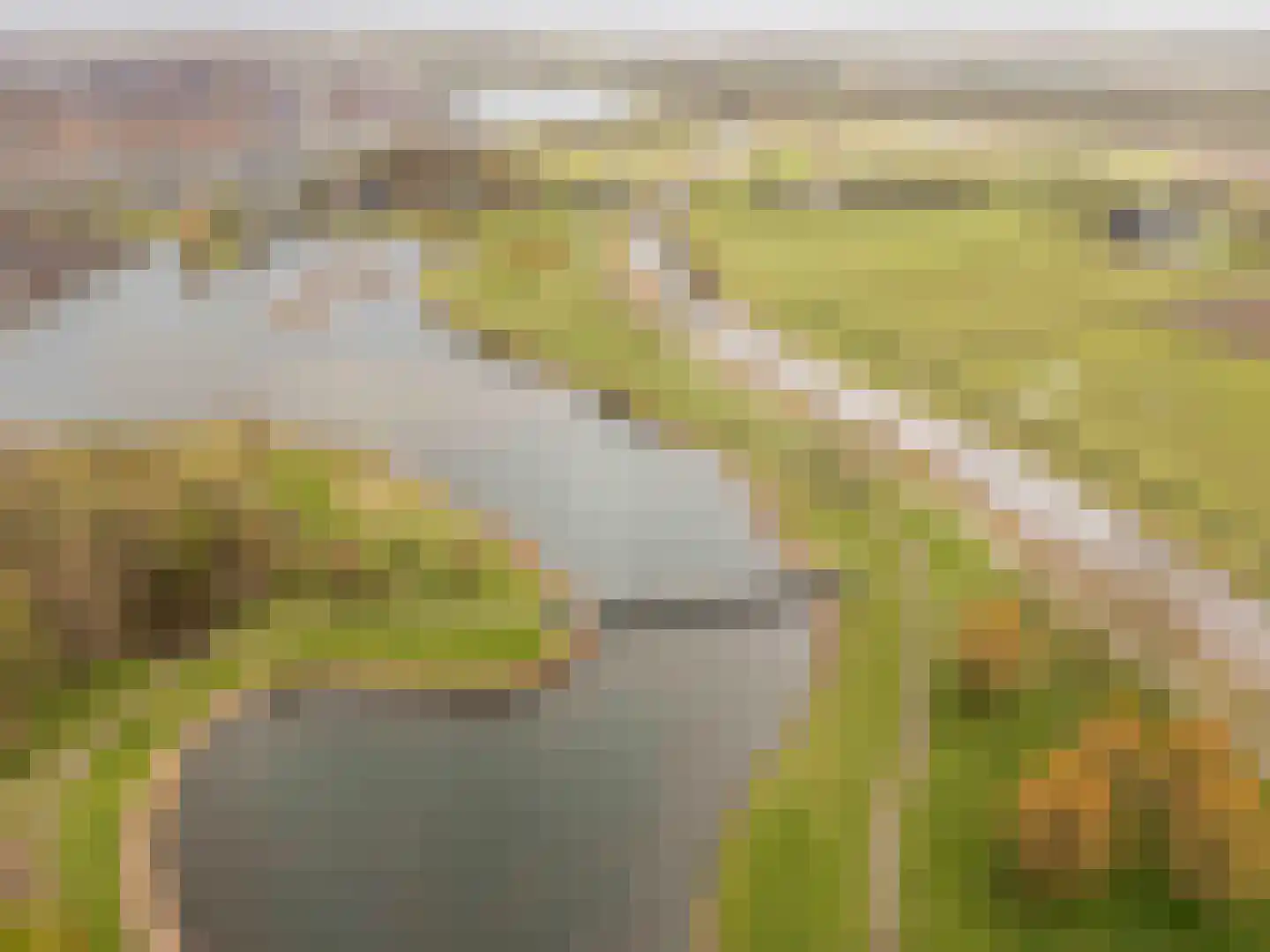 Barnsteenhof 100 Rhoon thumbnail 49