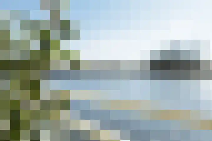 Barnsteenhof 4 Rhoon thumbnail 5