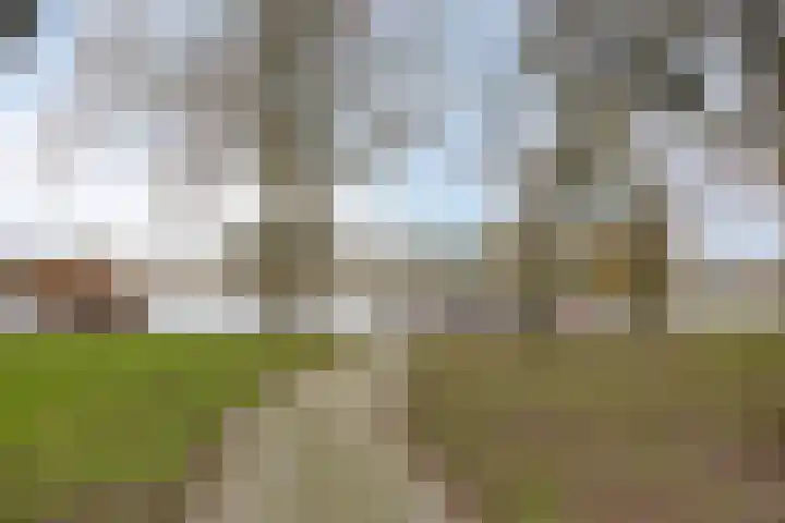 Barnsteenhof 76 Rhoon thumbnail 28