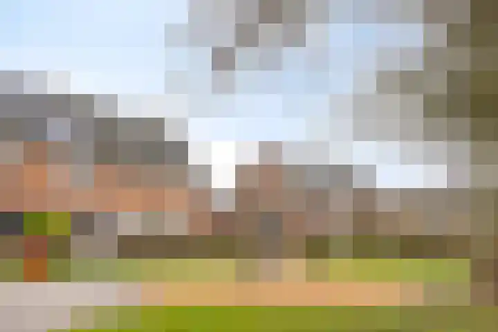 Barnsteenhof 76 Rhoon thumbnail 31