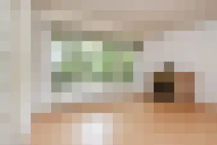 Barnsteenhorst 10 Den Haag thumbnail 11