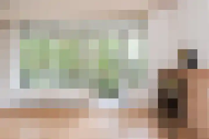 Barnsteenhorst 10 Den Haag thumbnail 14
