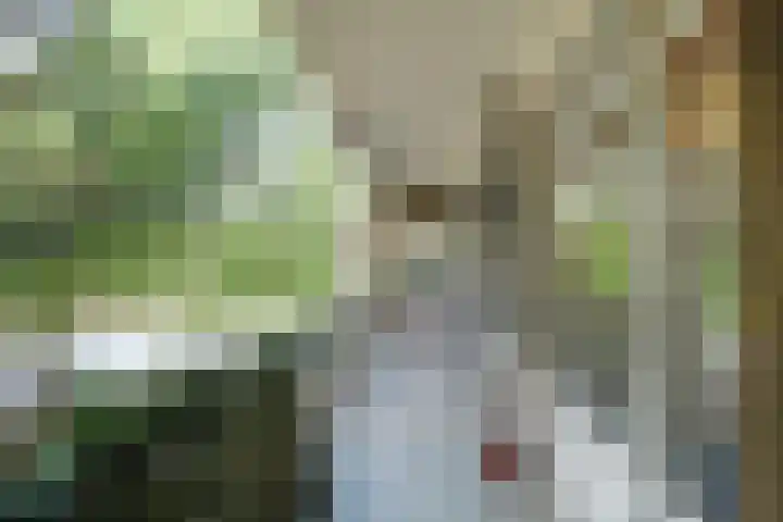 Barnsteenhorst 10 Den Haag thumbnail 16