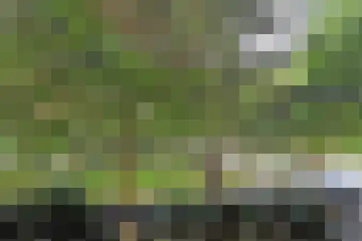 Barnsteenhorst 10 Den Haag thumbnail 17