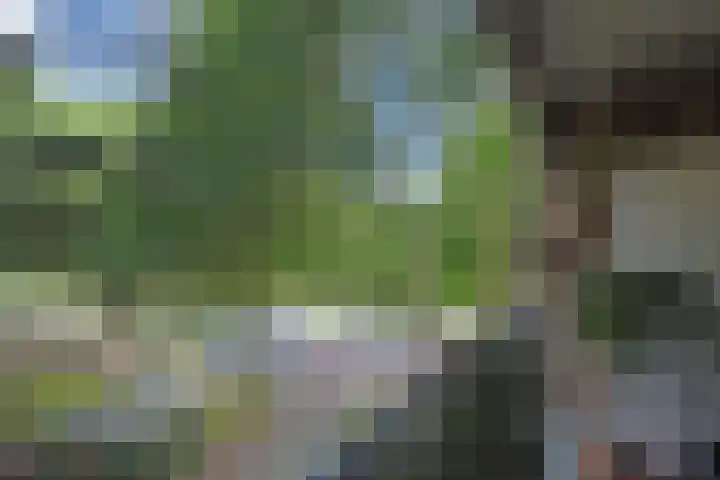 Barnsteenhorst 10 Den Haag thumbnail 18
