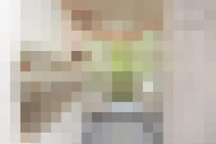 Barnsteenhorst 10 Den Haag thumbnail 20