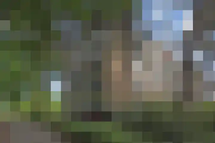 Barnsteenhorst 10 Den Haag thumbnail 32