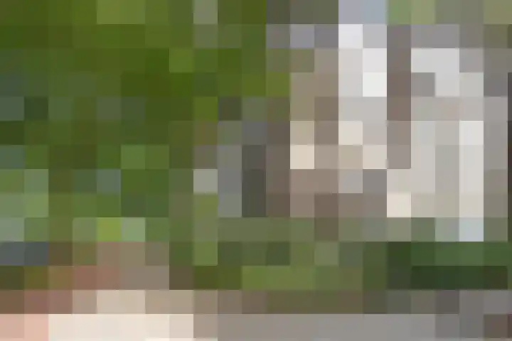 Barnsteenhorst 10 Den Haag thumbnail 33
