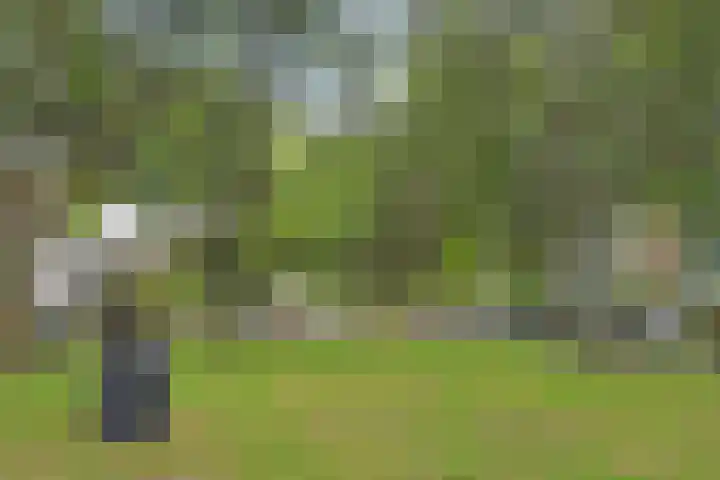 Barnsteenhorst 10 Den Haag thumbnail 34